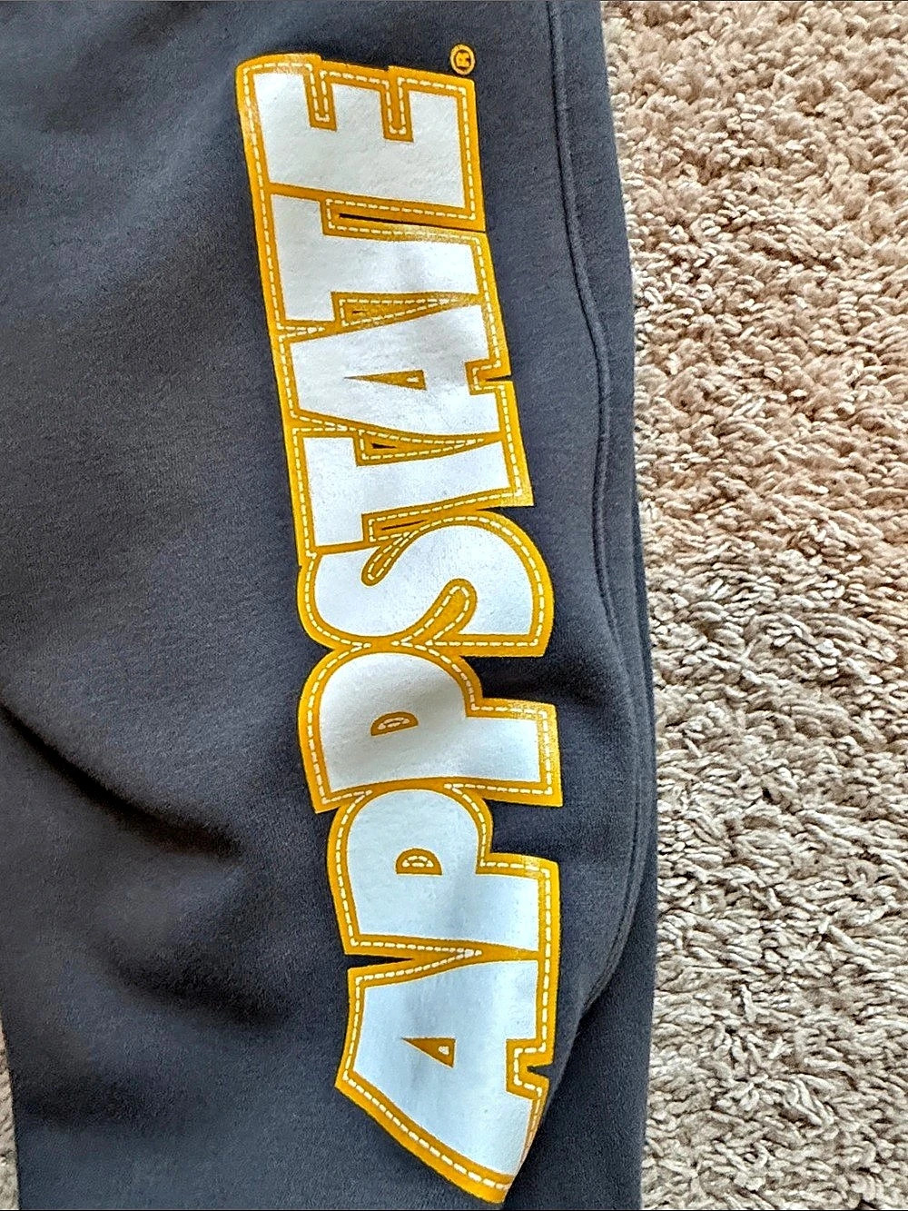 Nike Logo Sweatpants in Black Size Medium